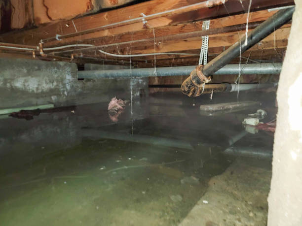 Best Basement water damage restoration  in Roseville, CA