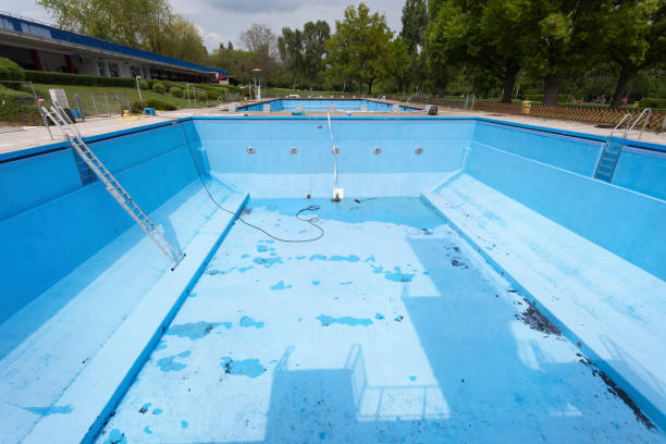 Best Water damage contractors near me  in Roseville, CA