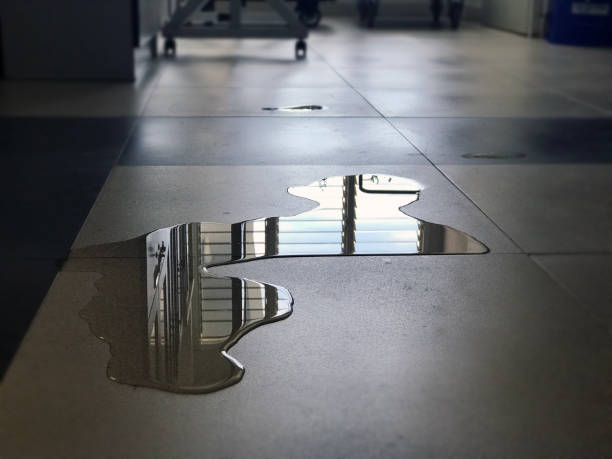 Best Sewage cleanup and water damage restoration  in Roseville, CA
